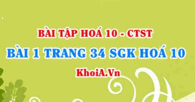 Bài 1 trang 34 SGK Hoá 10 Chân trời sáng tạo